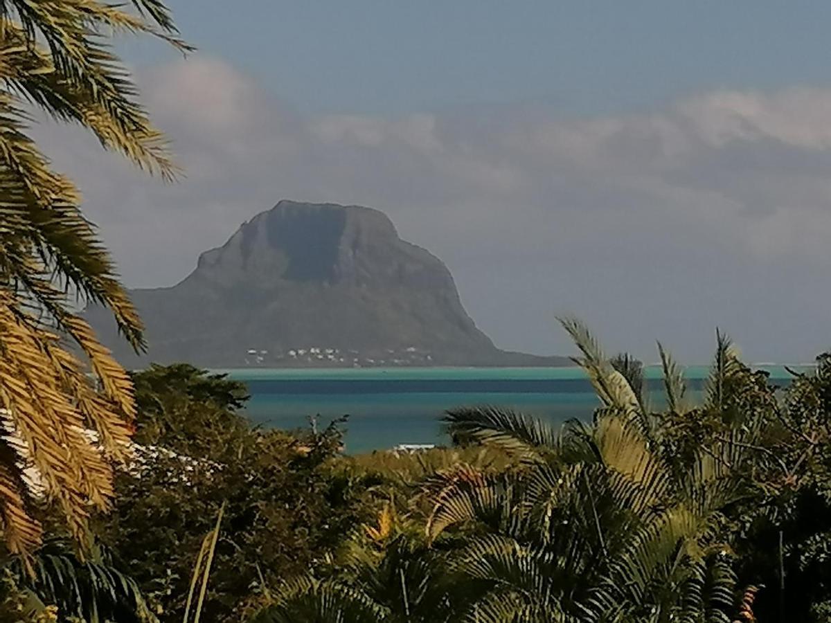 Terre Et Mer - Studios - Ile Maurice Rivière Noire Exterior foto